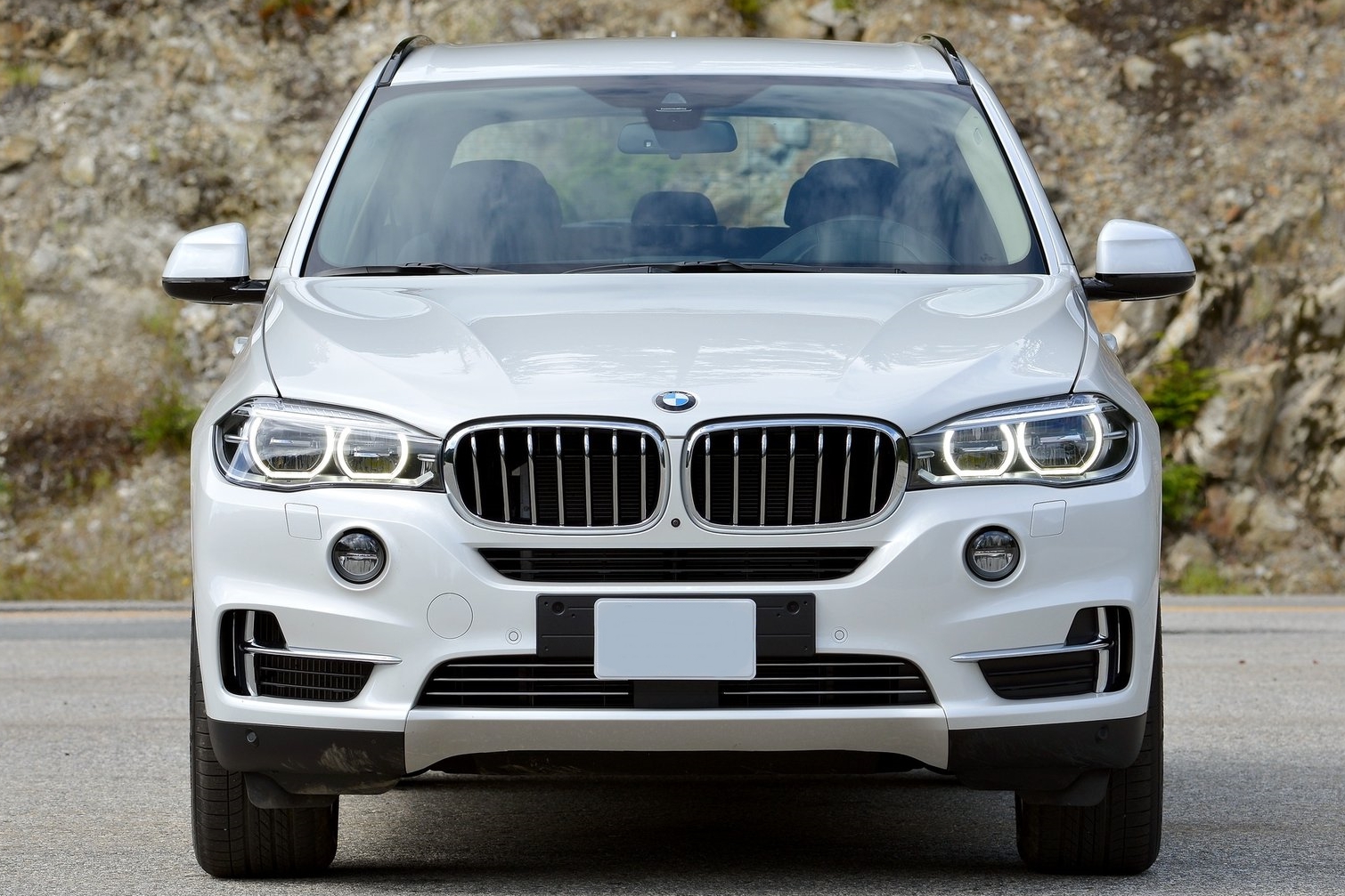 BMW-X5_2014-1%20(2).jpg